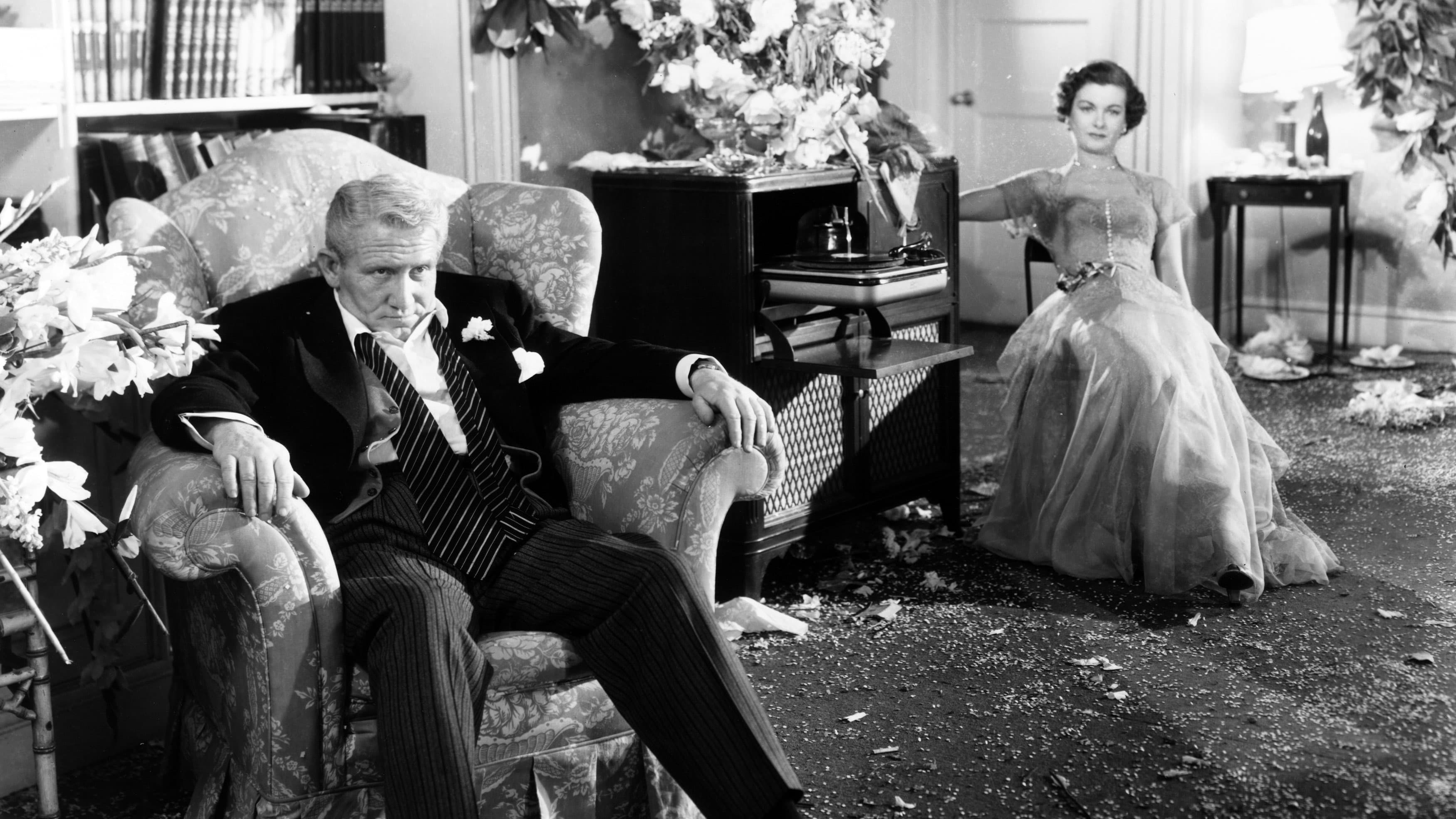 Il padre della sposa - immagine