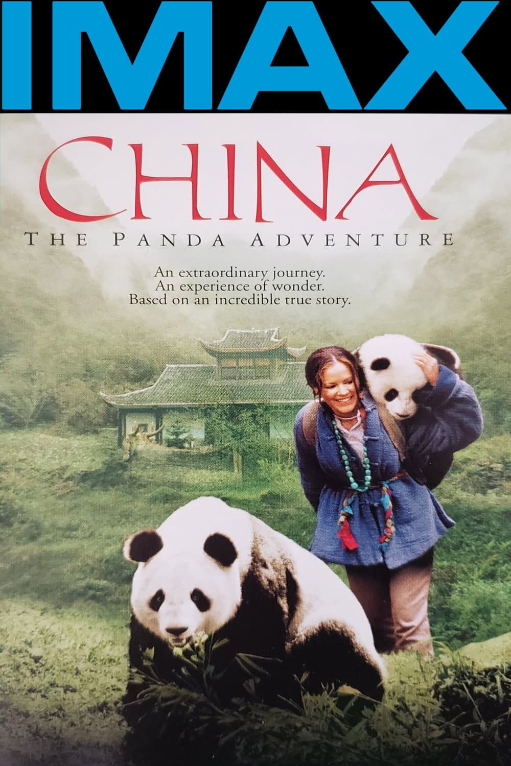 Poster di China: The Panda Adventure