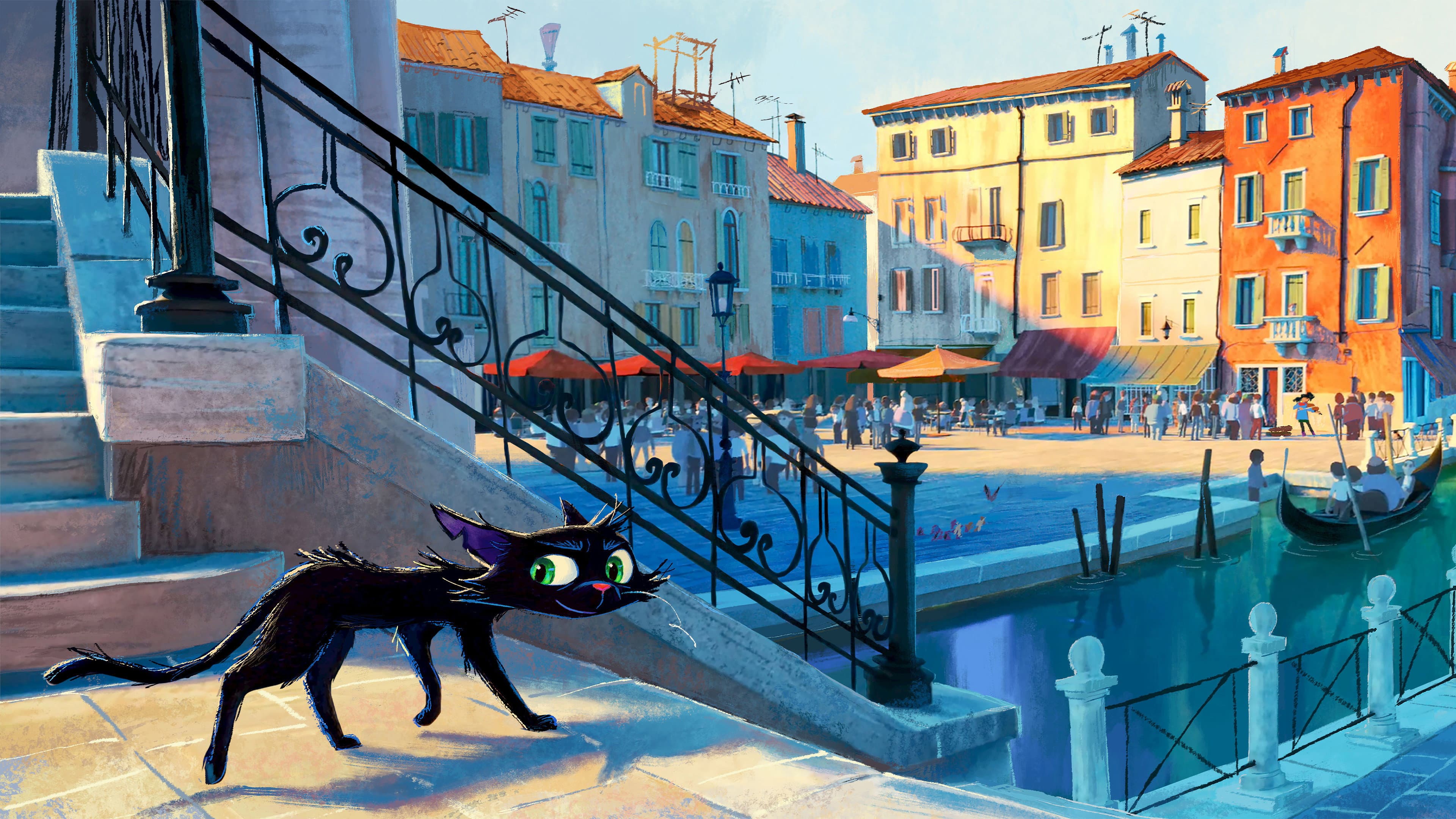 Gatto - immagine