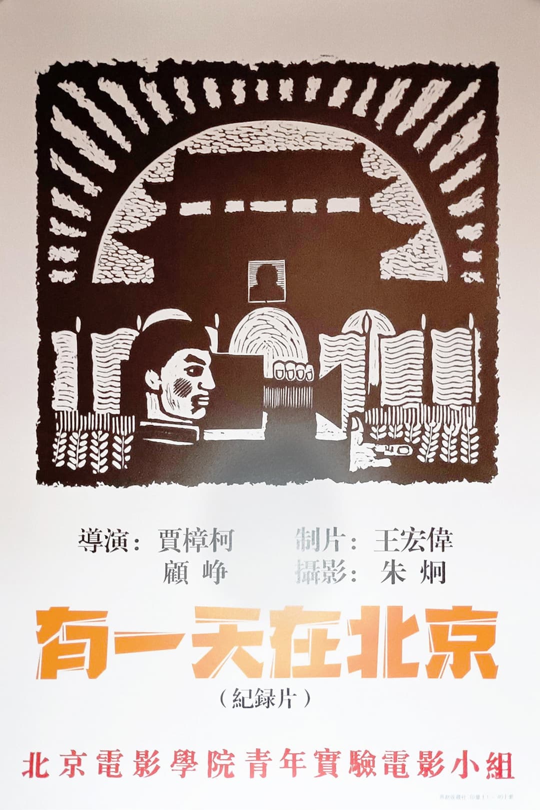 Poster di 有一天，在北京