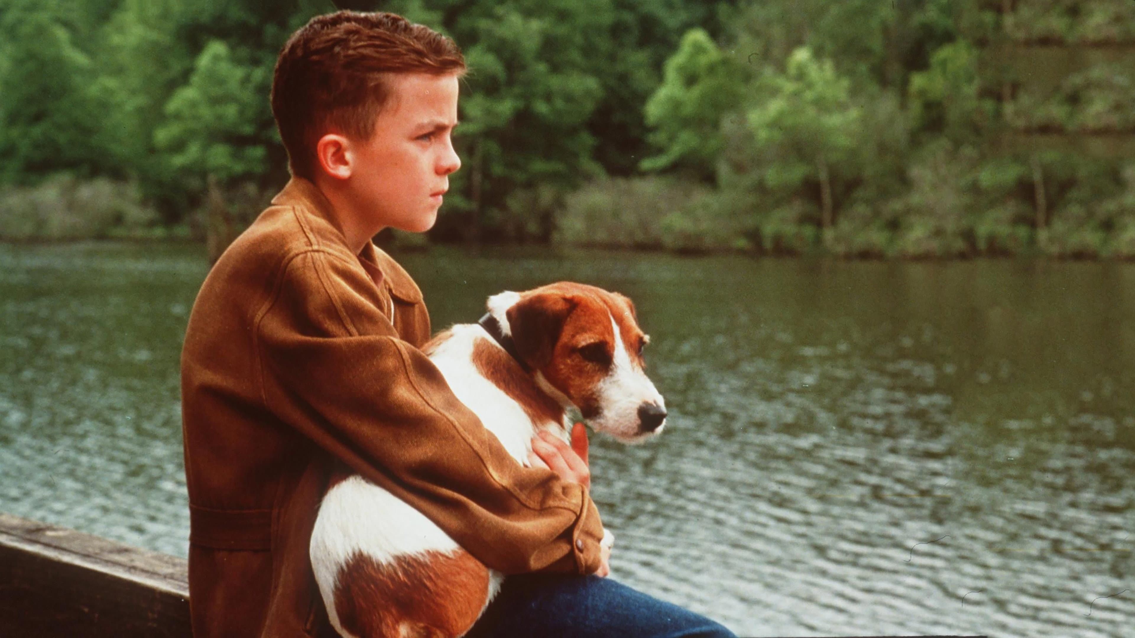 Il mio cane Skip - immagine