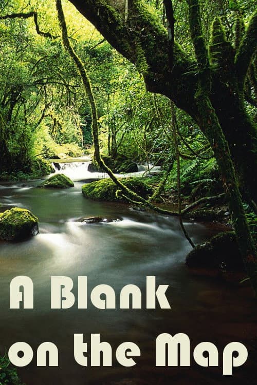 Poster di A Blank on the Map