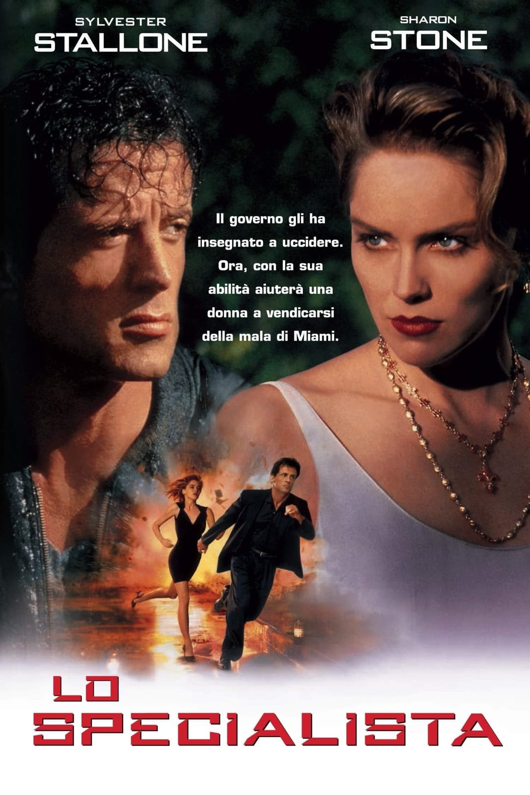 Poster di Lo specialista