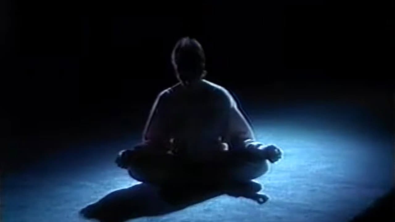 Shirley MacLaine's Inner Workout - immagine