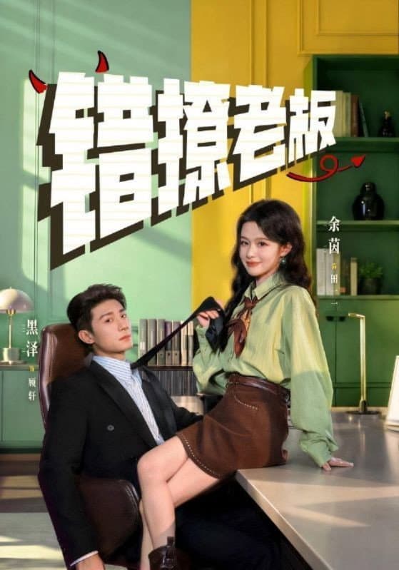 Poster di 错撩老板