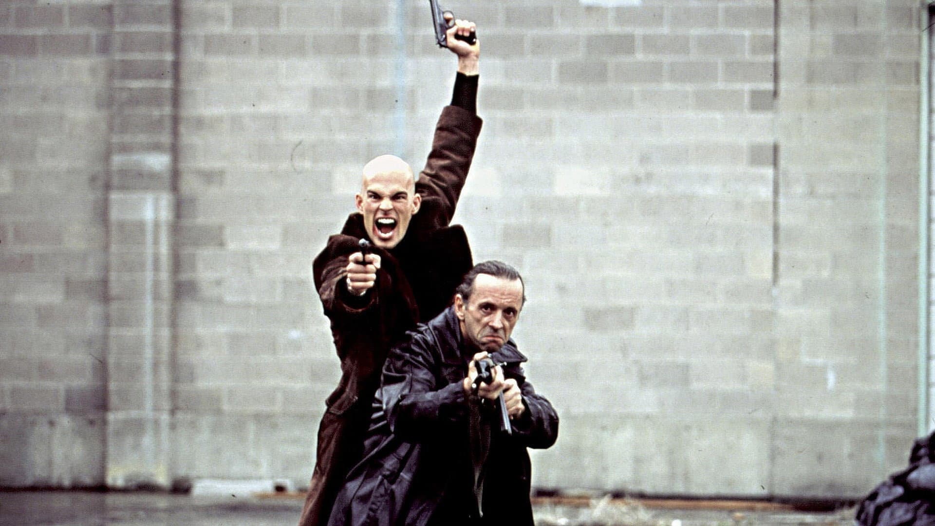 Impatto Criminale - immagine