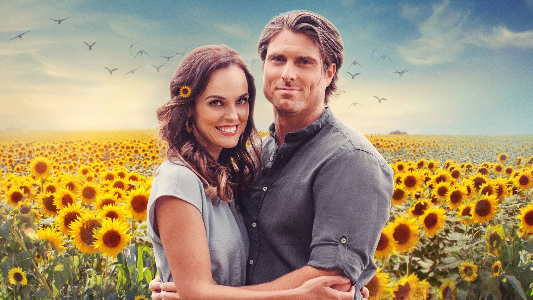 Un amore a Sunflower Valley - immagine