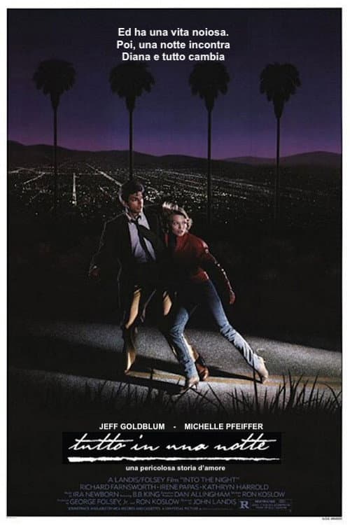 Poster di Tutto in una notte