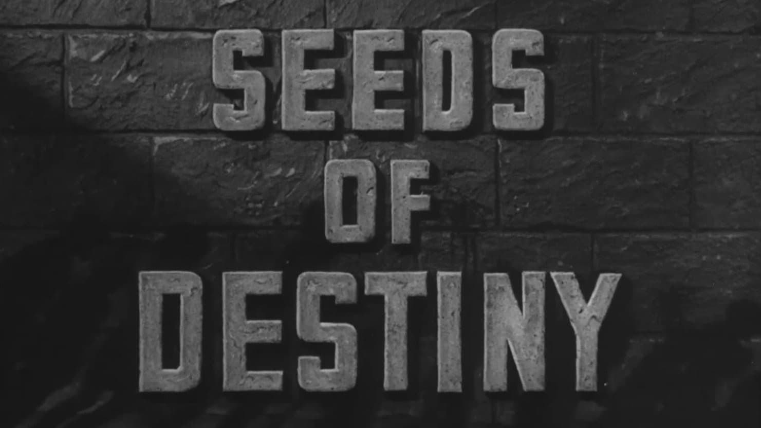 Seeds of Destiny - immagine