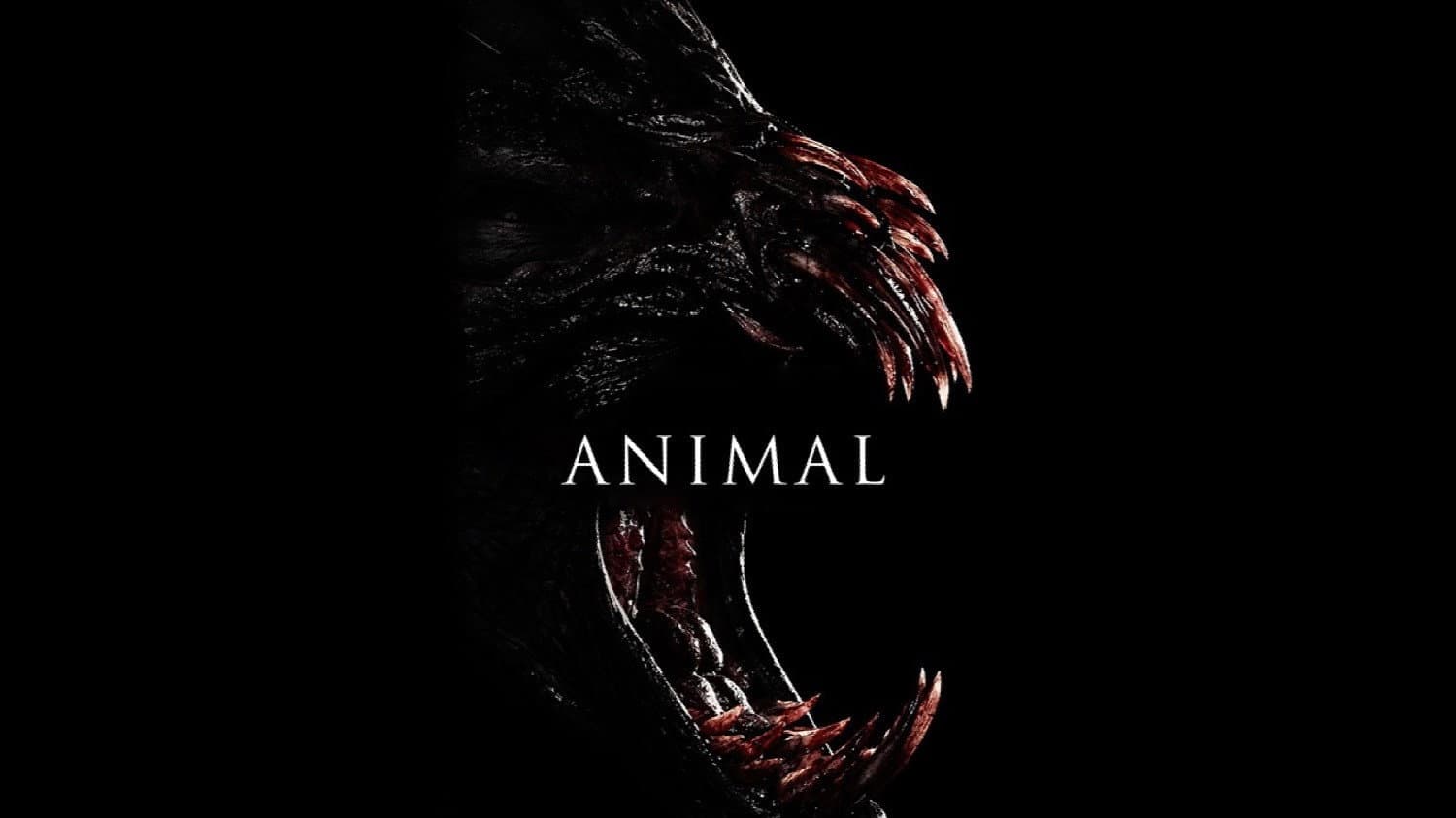 Animal - Il segreto della foresta - immagine