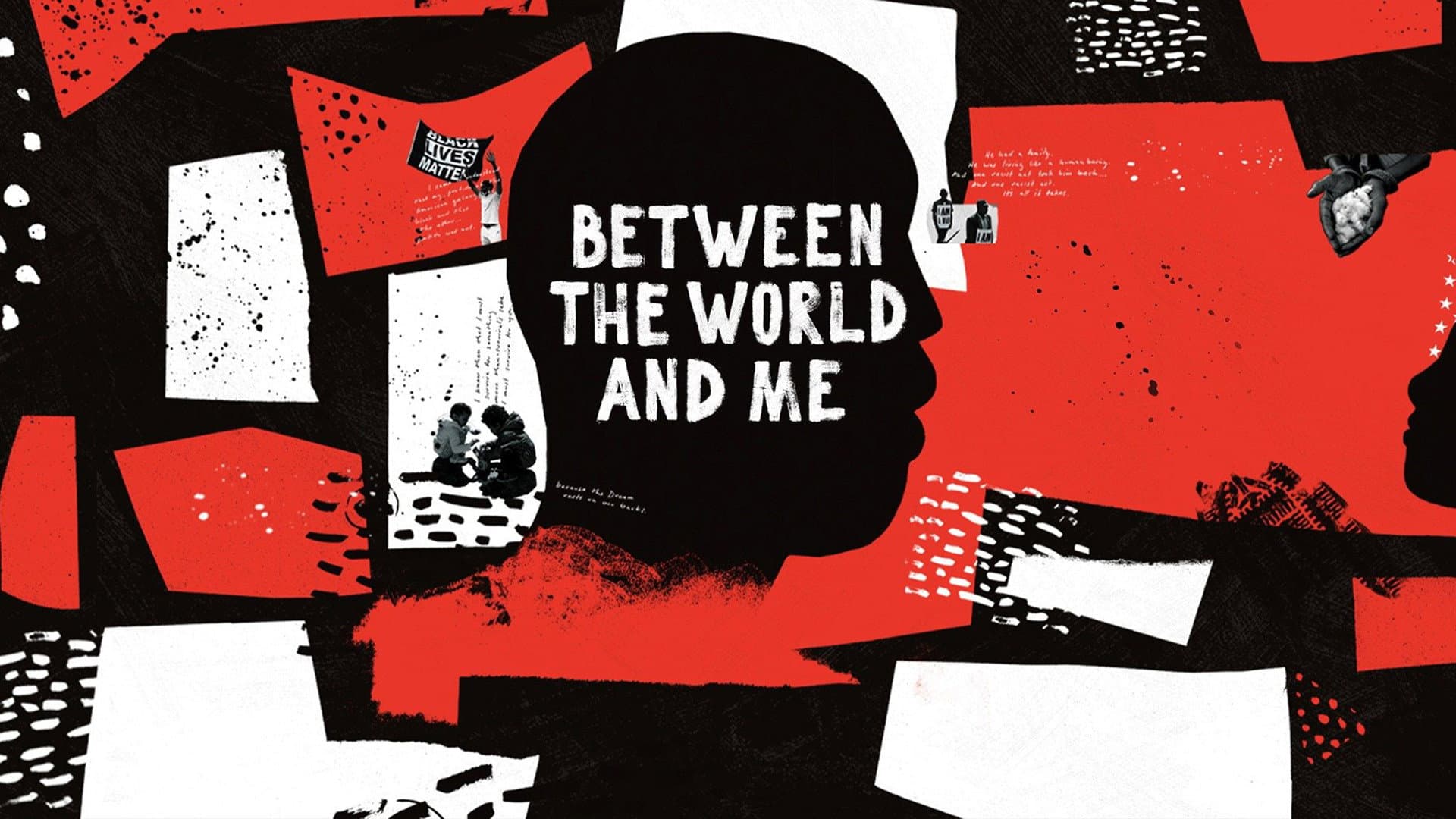 Between the World and Me - immagine