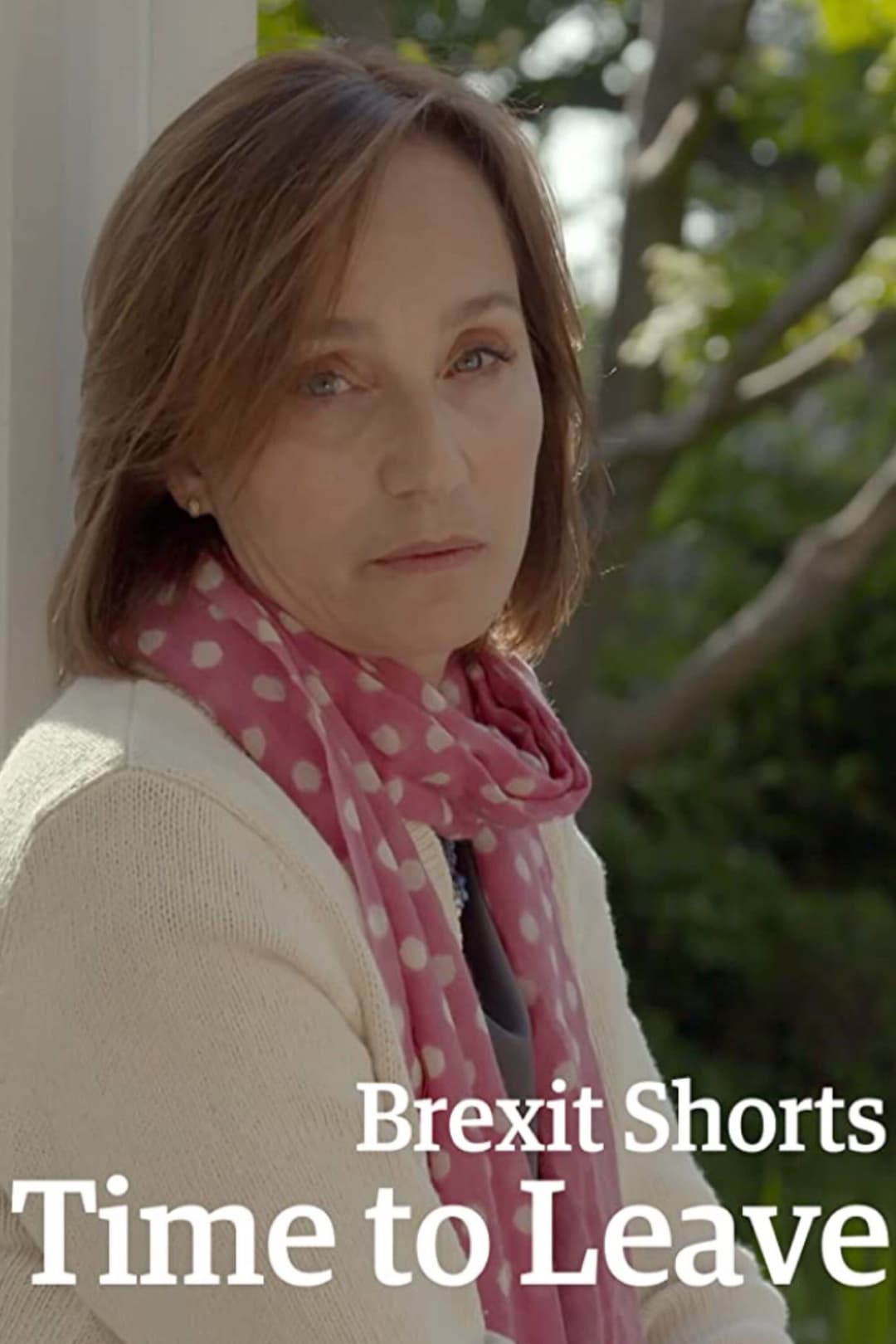 Poster di Brexit Shorts: Time to Leave