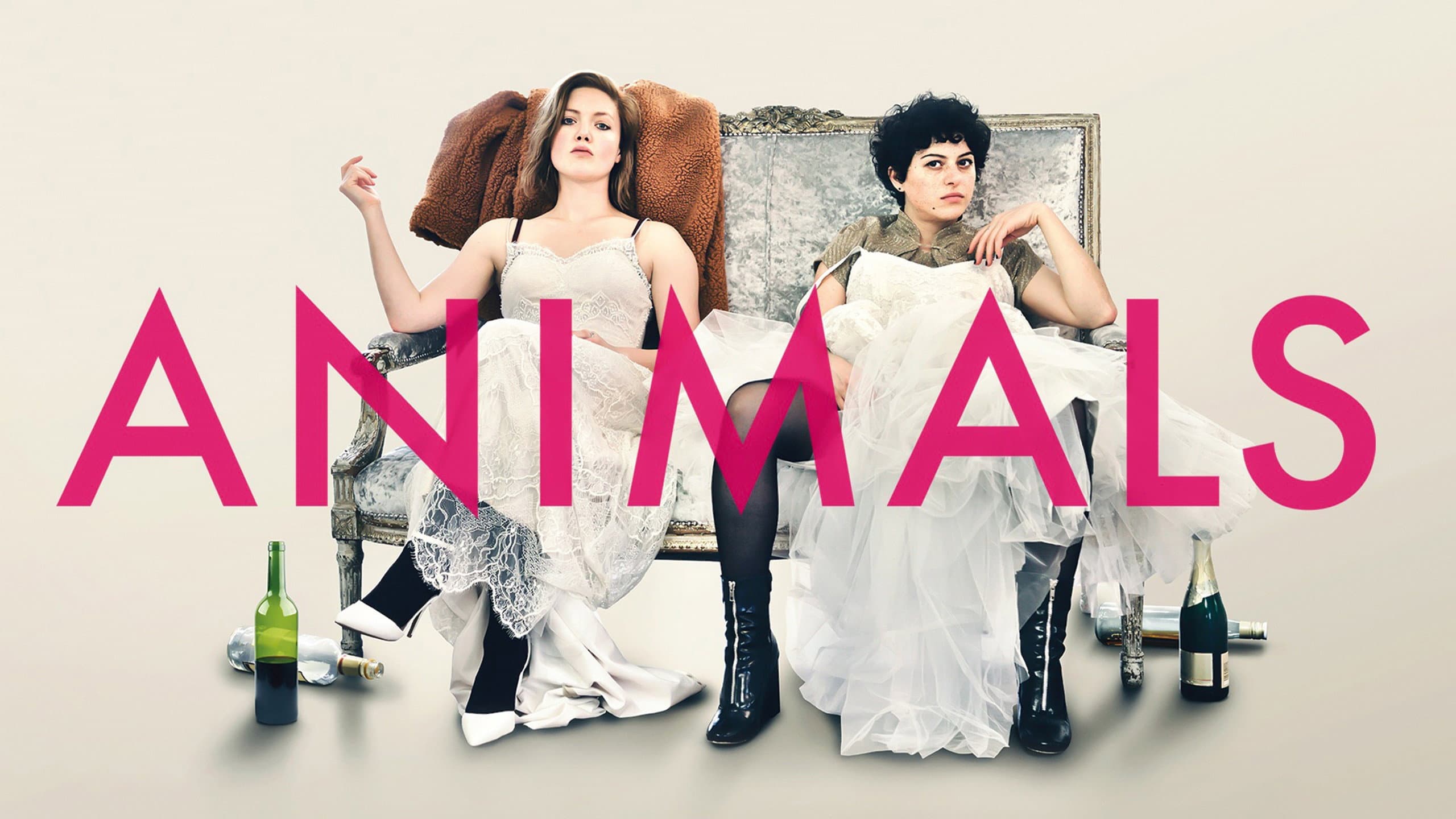 Animals - immagine