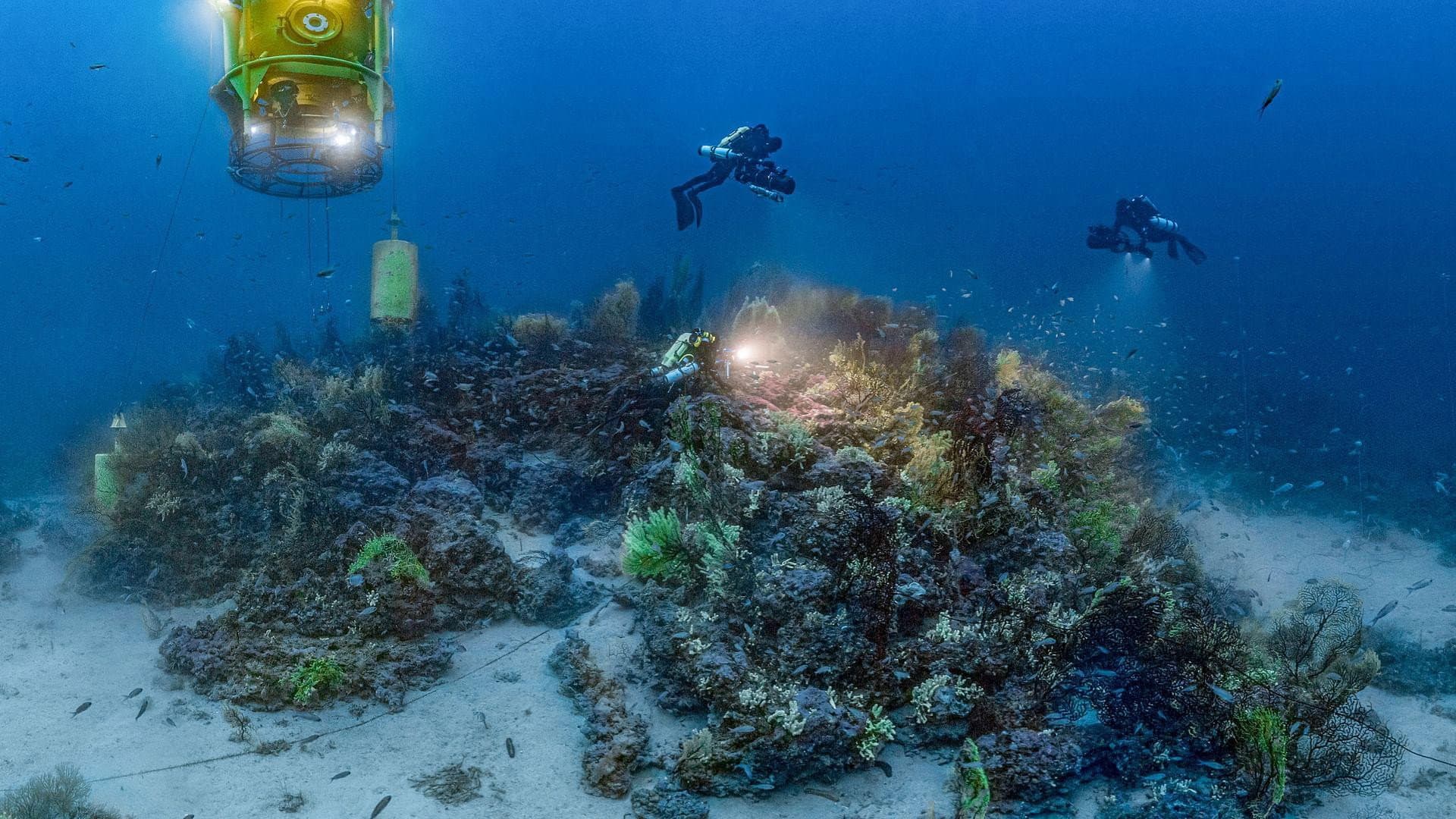 Planète Méditerranée - immagine
