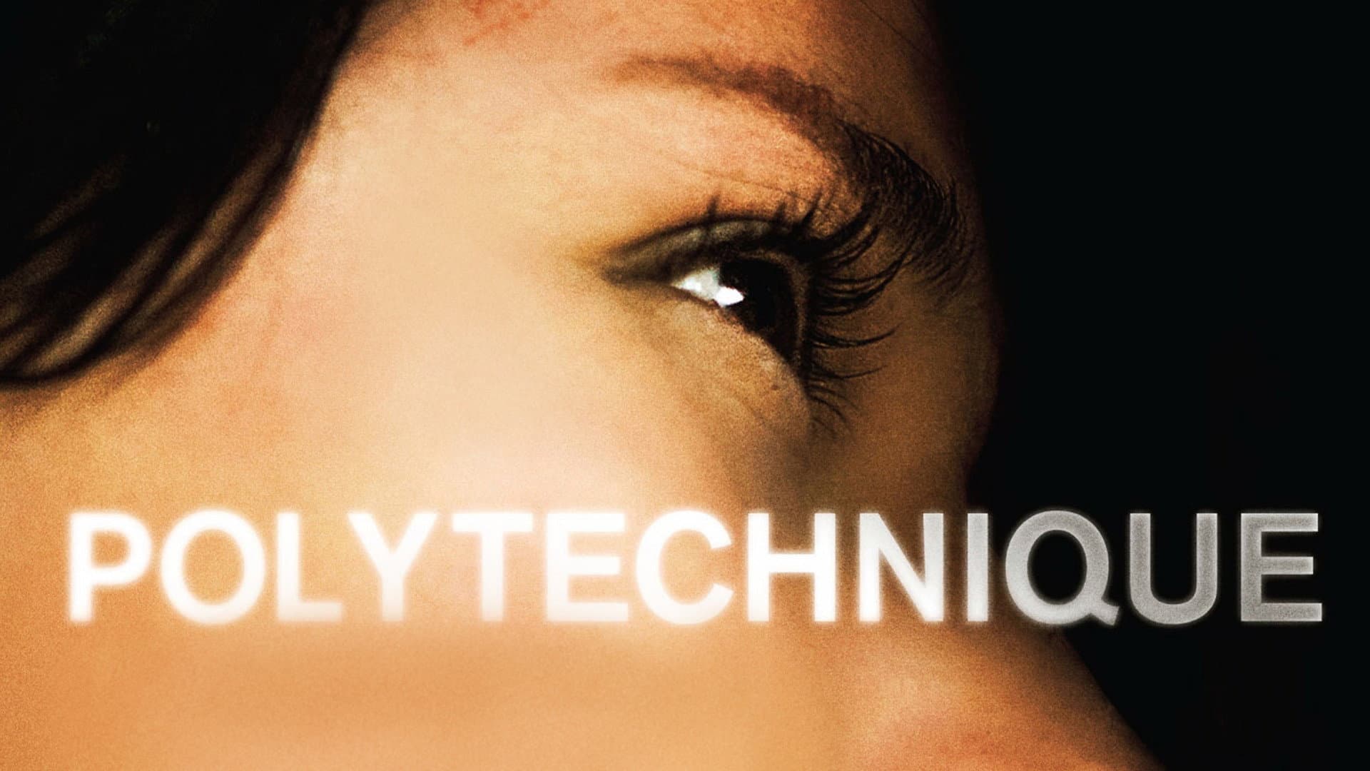 Polytechnique - immagine