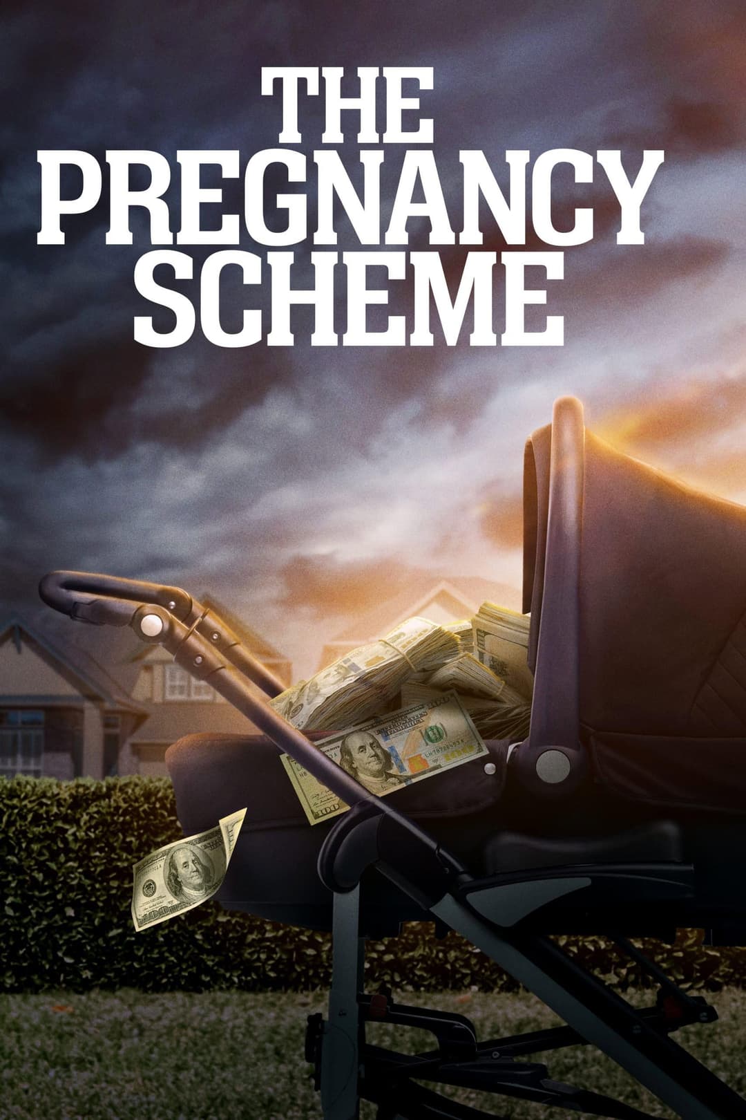 Poster di The Pregnancy Scheme