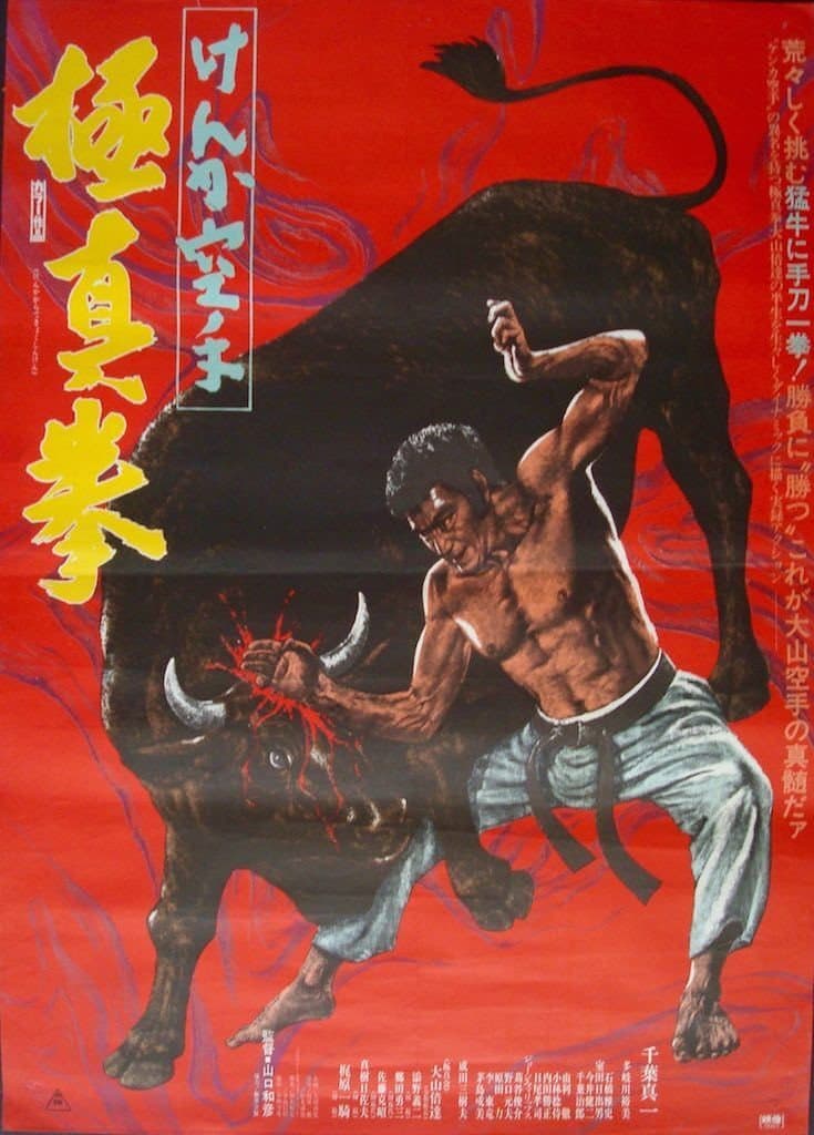 Poster di Karate Bullfighter