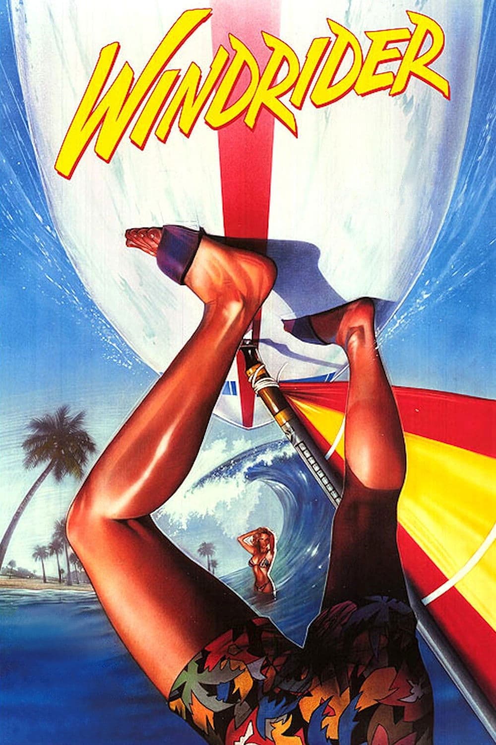 Poster di Windrider