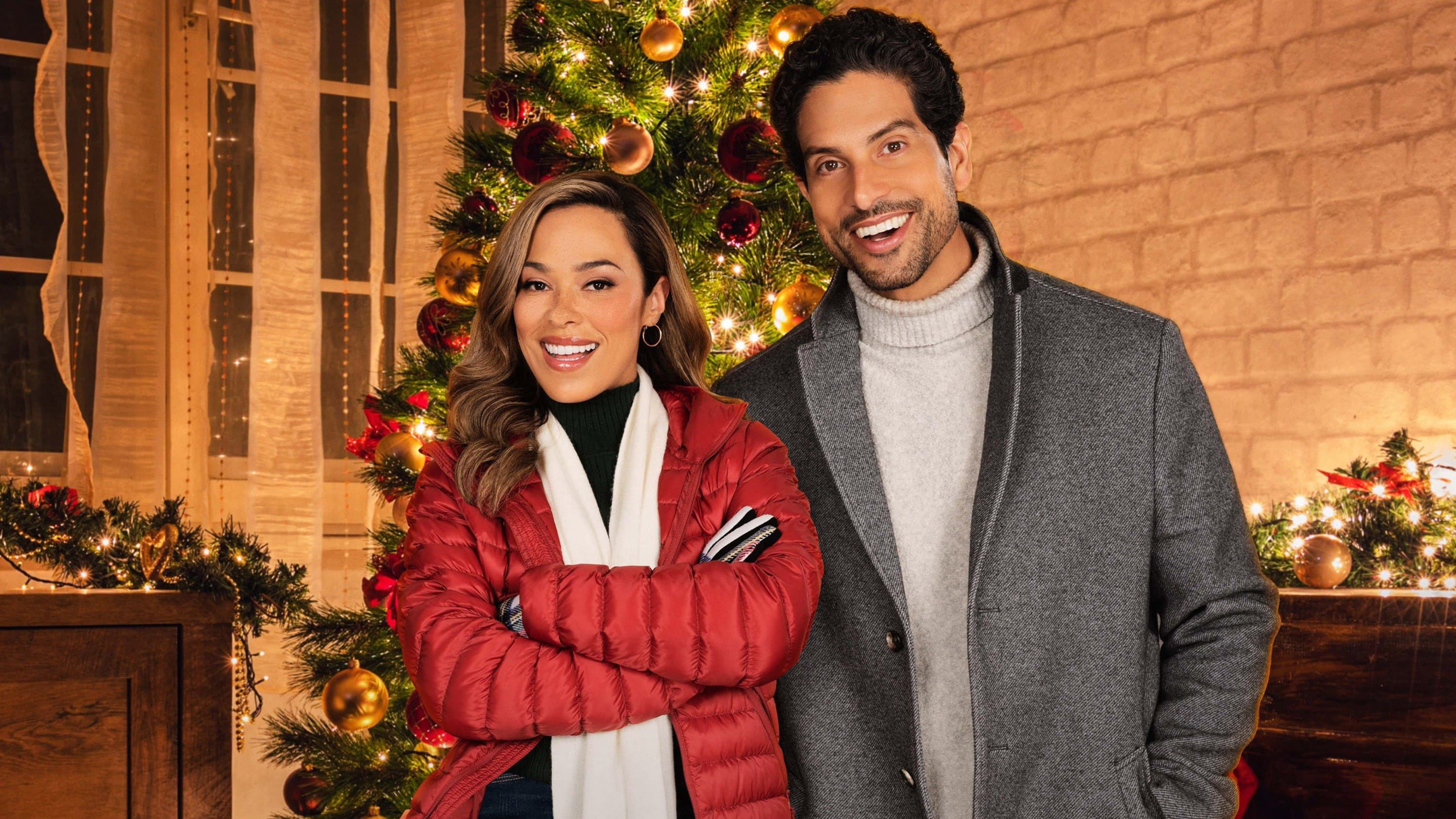 A Christmas Proposal - immagine
