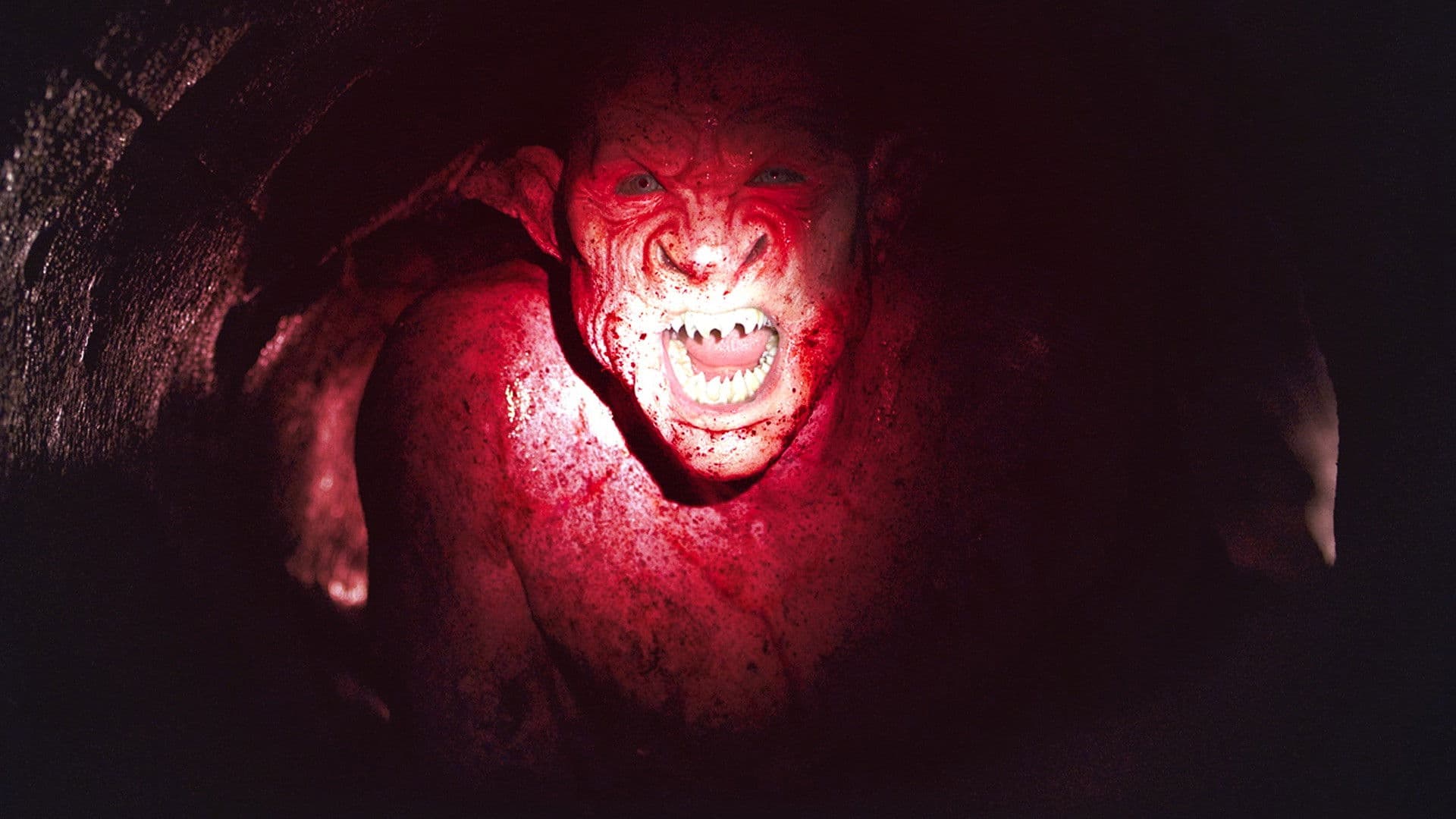 The Descent: Part 2 - immagine
