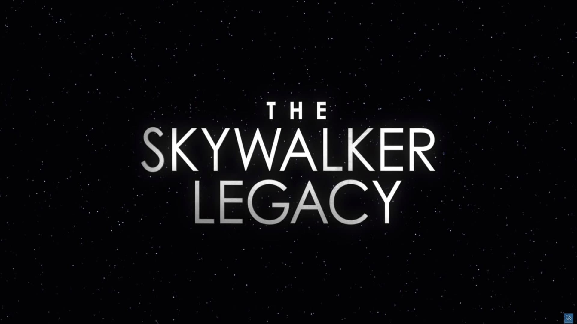 L'eredità di Skywalker - immagine