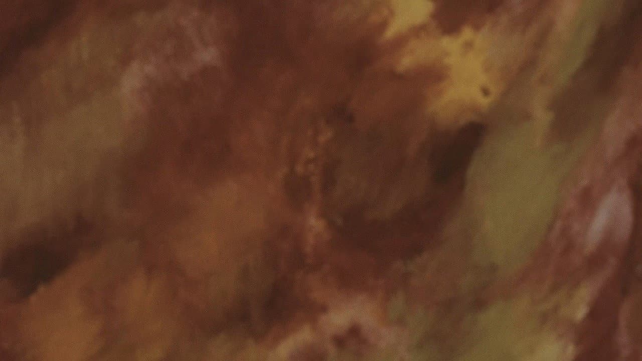 Sinfonia d'autunno - immagine