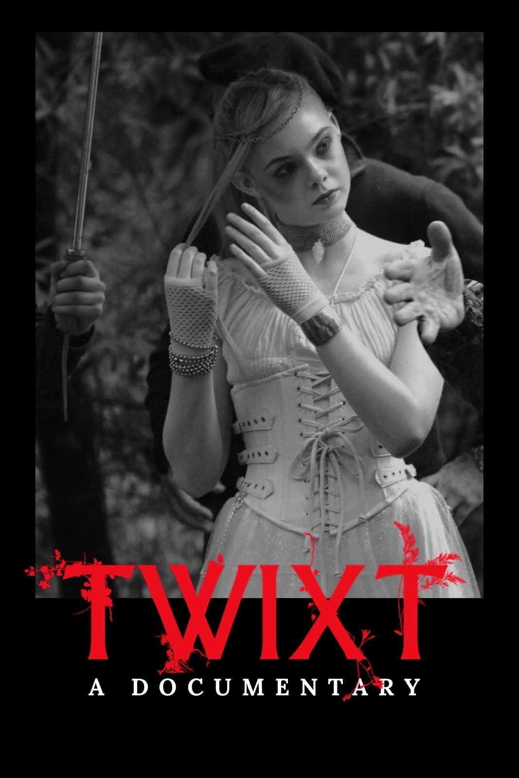 Poster di Twixt: A Documentary