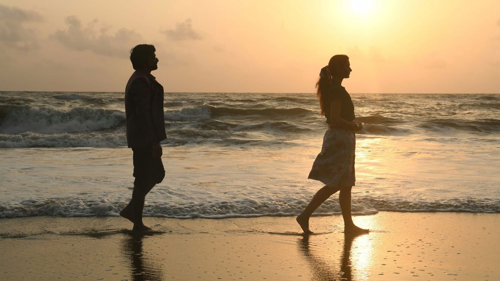 డిస్కో రాజా - immagine