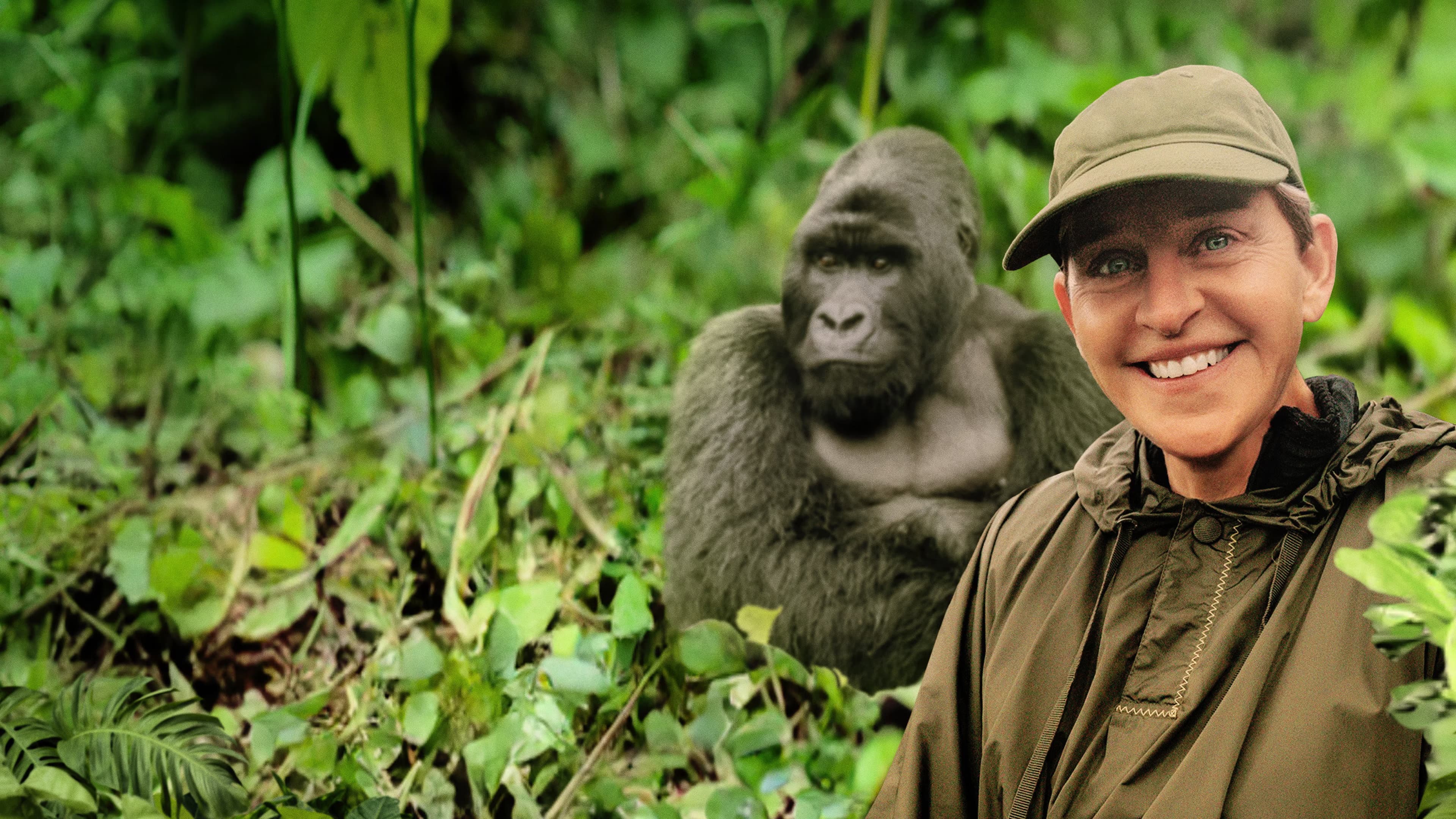 Saving the Gorillas: Ellen's Next Adventure - immagine