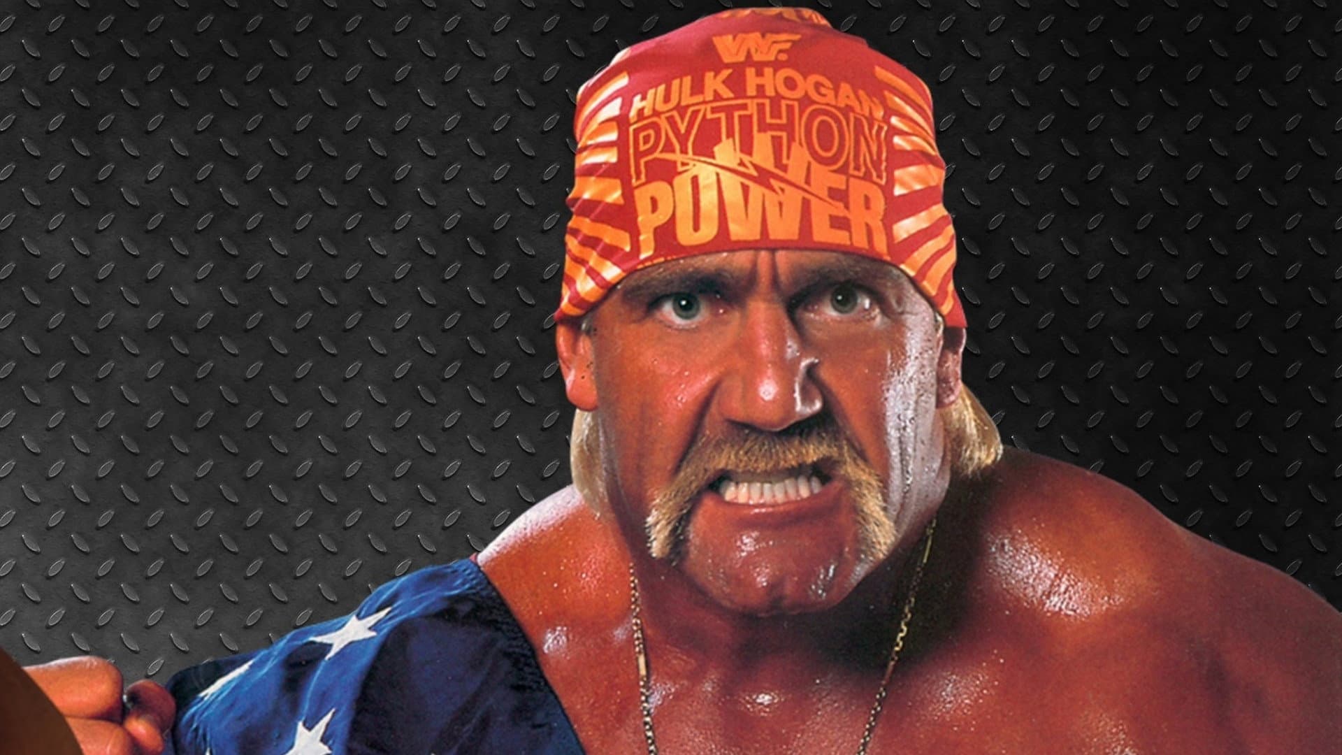 WWE WrestleMania VII - immagine