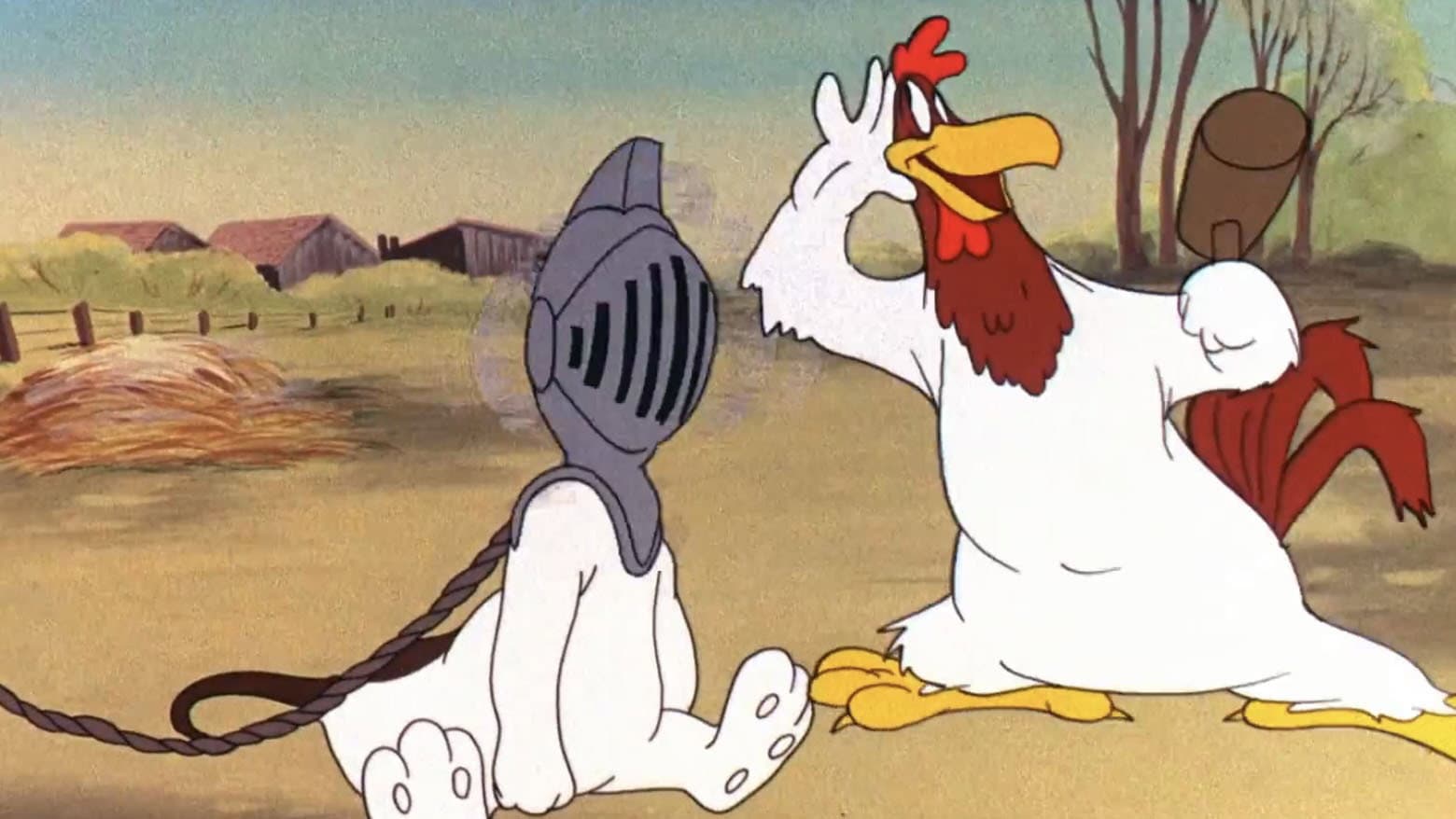 La gallina, questa sconosciuta - immagine