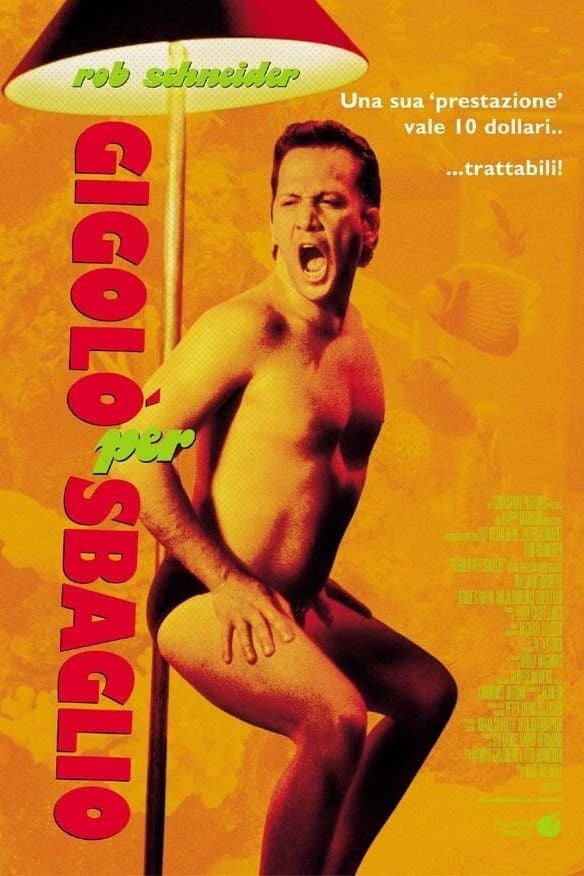 Poster di Gigolò per sbaglio