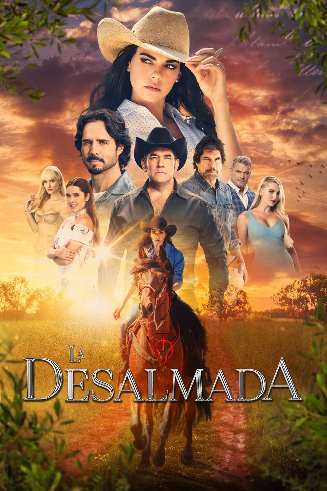 Poster di La desalmada