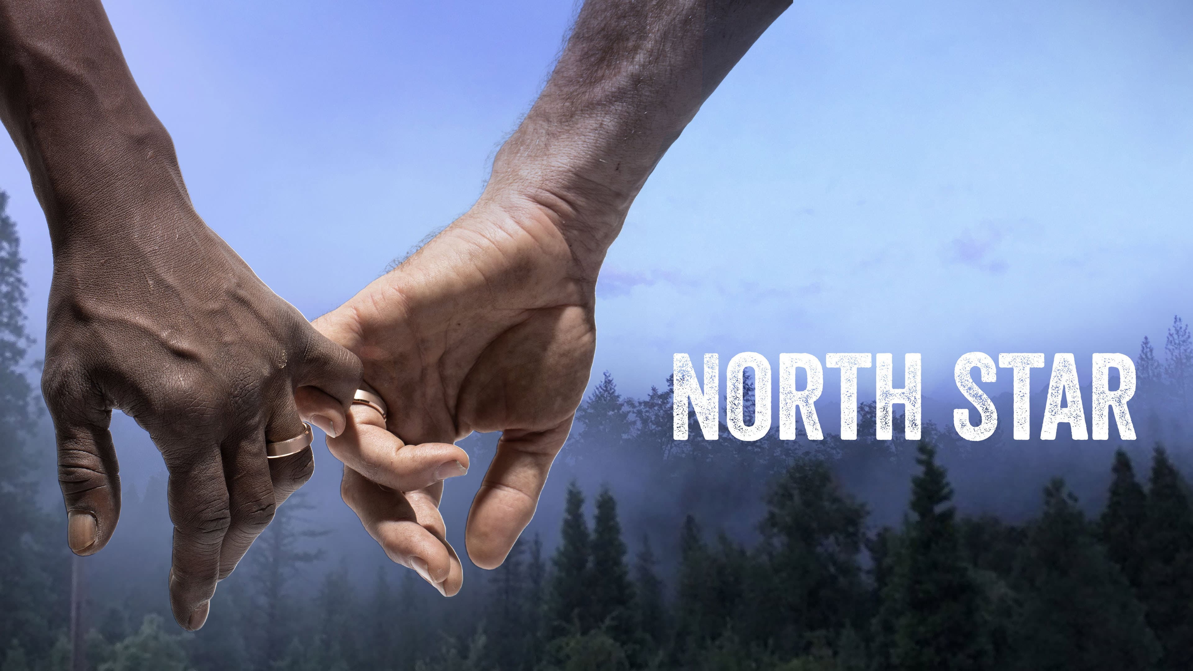 North Star - immagine