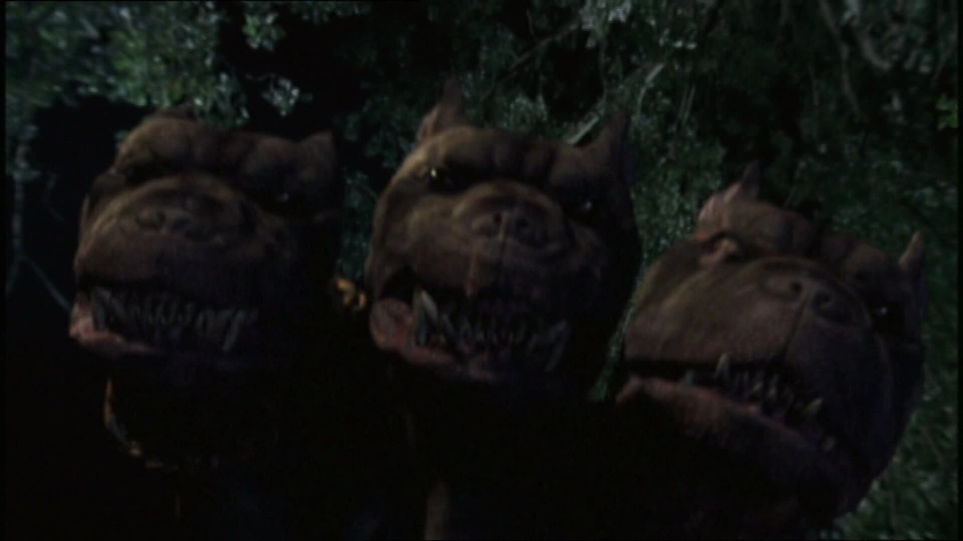 Cerberus - Il guardiano dell'inferno - immagine