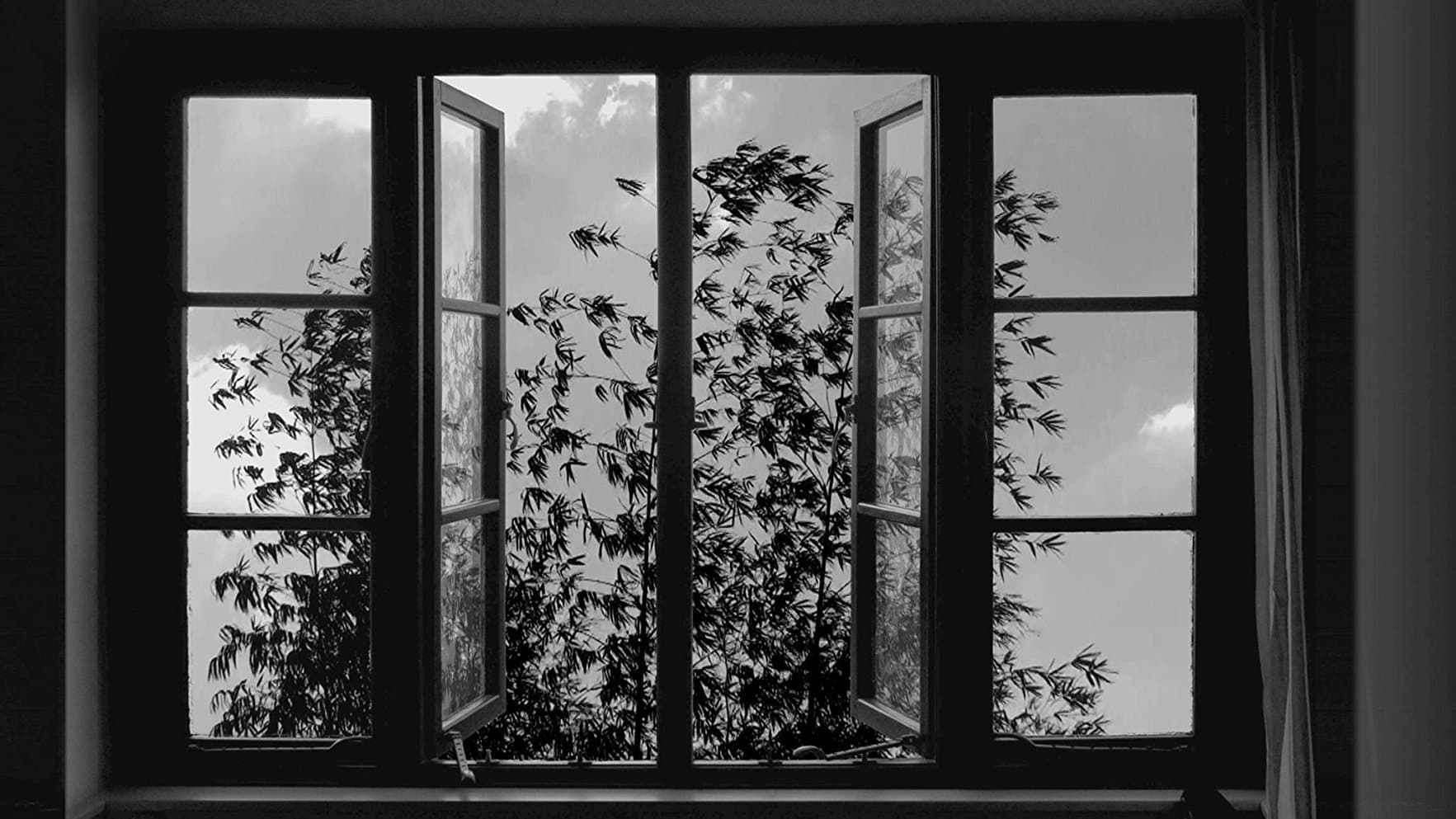 24 Frames - immagine
