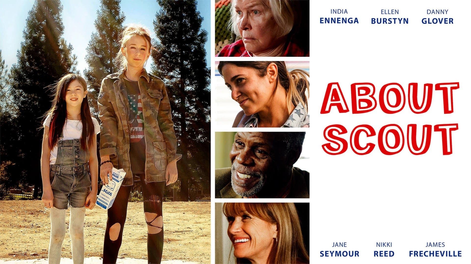 About Scout - immagine