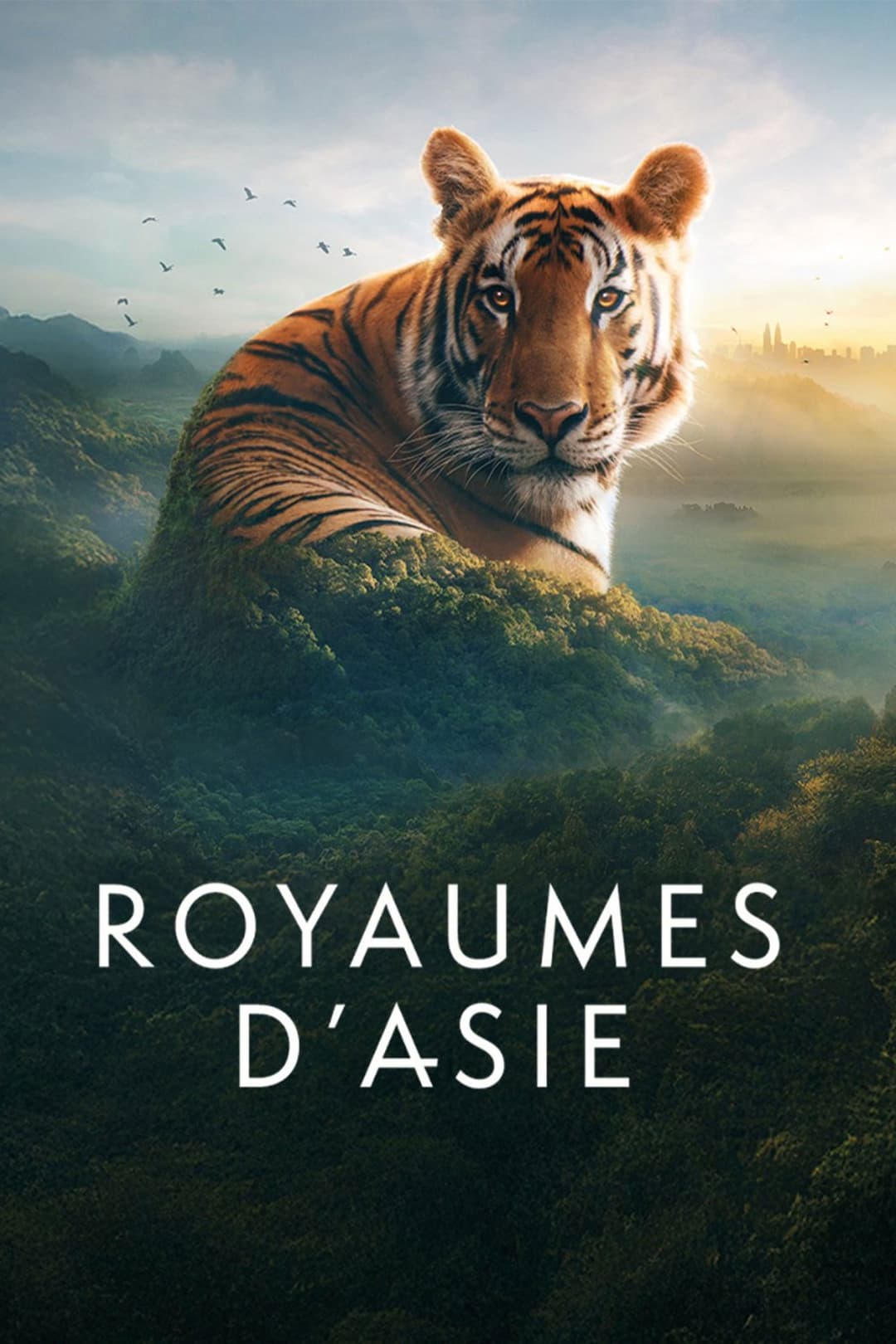 Poster di Royaumes d'Asie