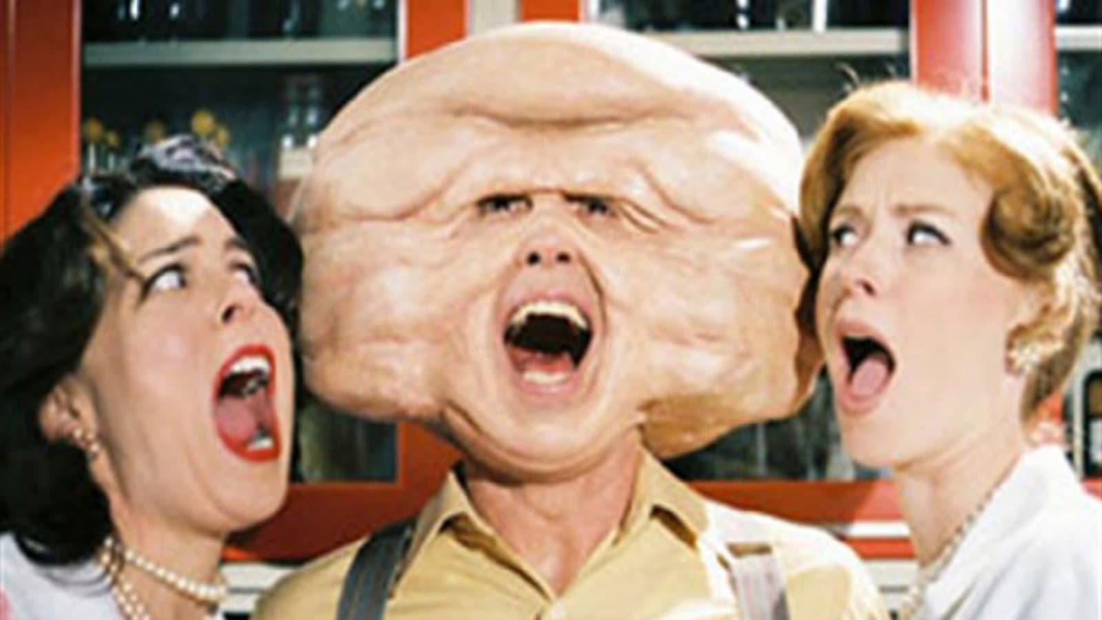Trail of the Screaming Forehead - immagine