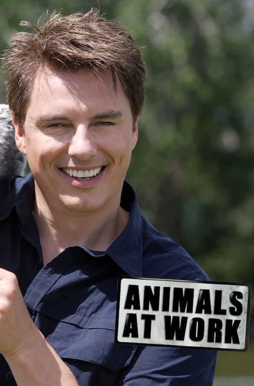 Poster di Animals at Work