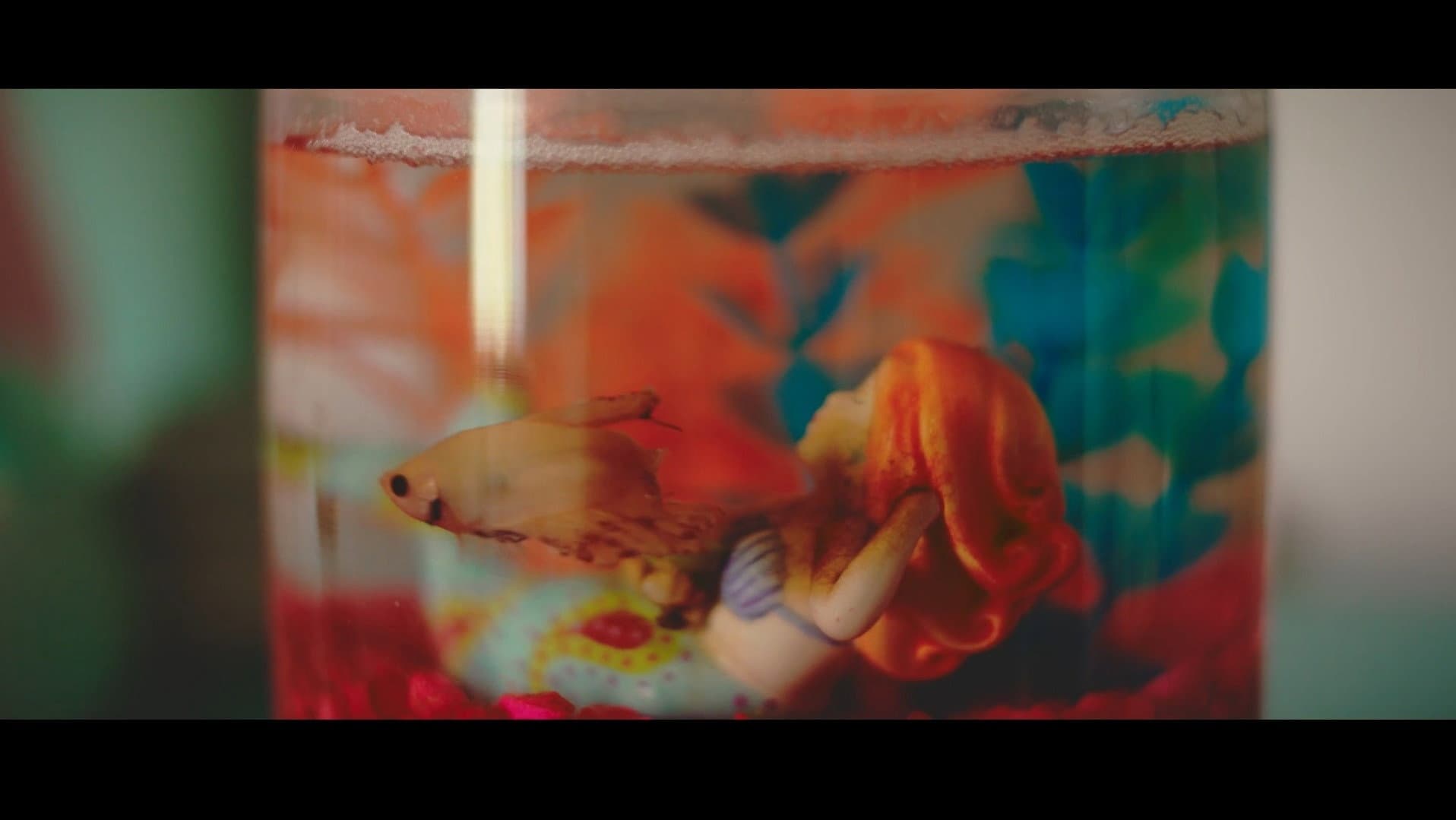 PRUDE - immagine