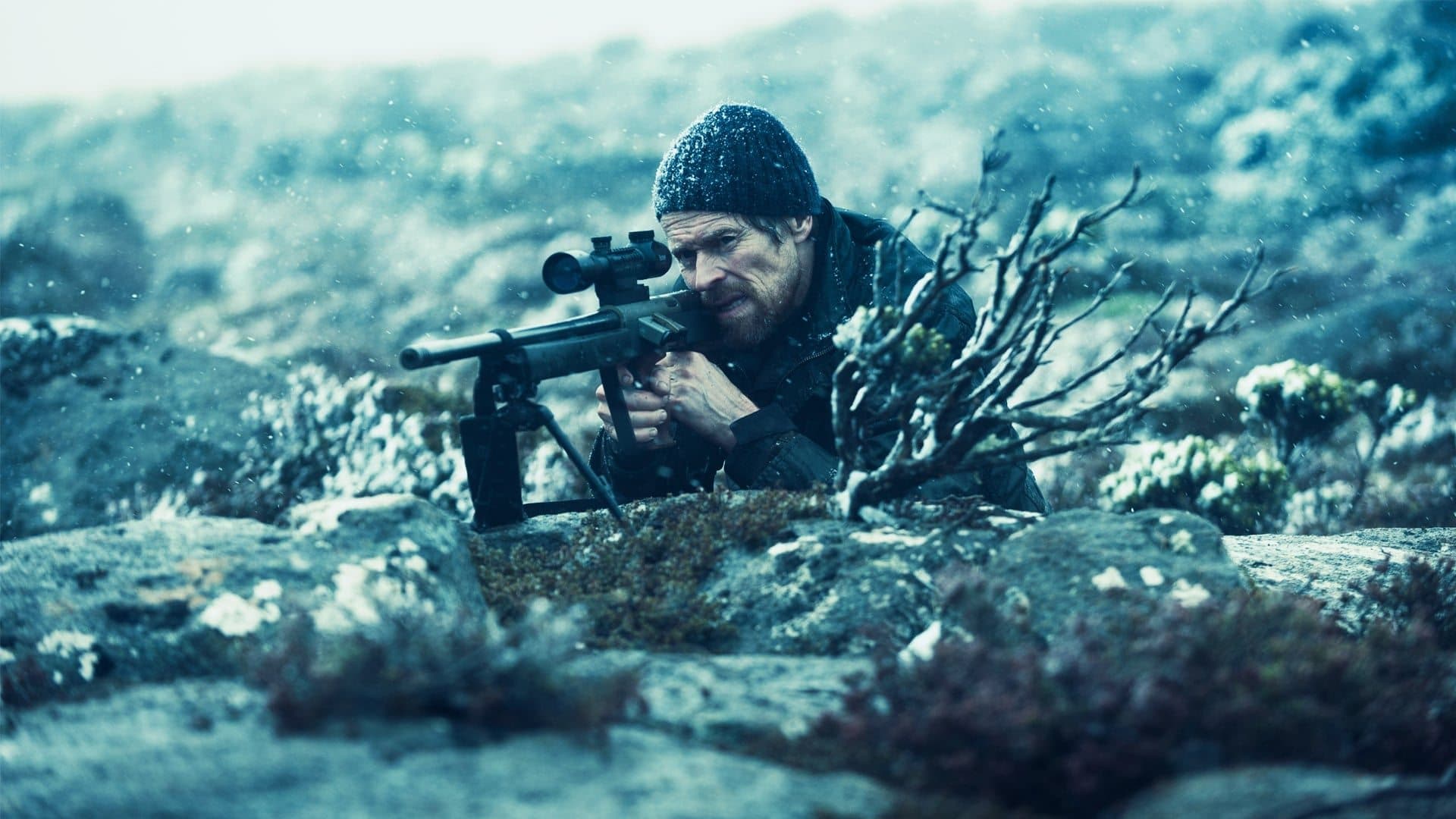 The Hunter - immagine