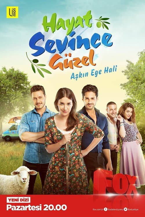 Poster di Hayat Sevince Güzel