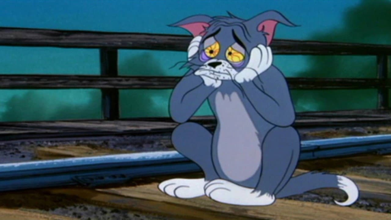 Blues per gatto triste - immagine