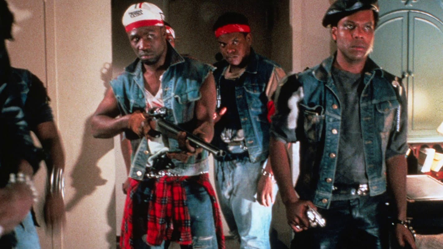 Manhattan Warriors - immagine