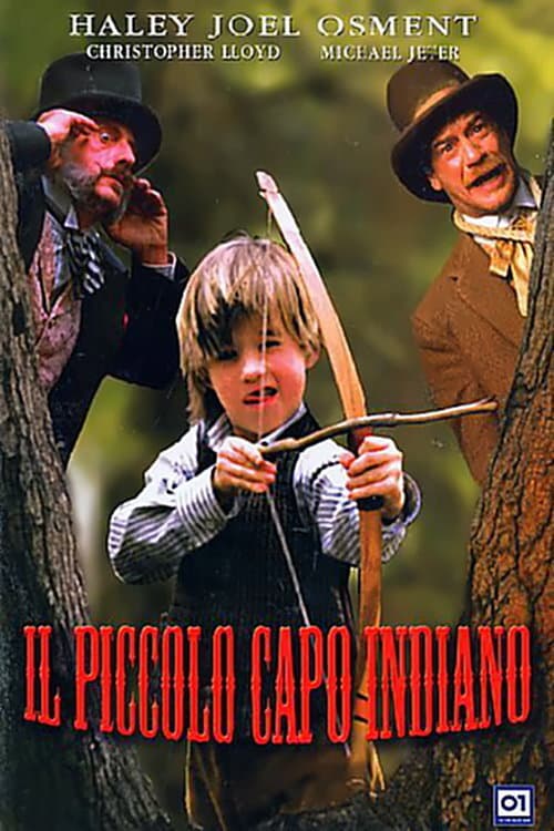 Poster di Il piccolo capo indiano