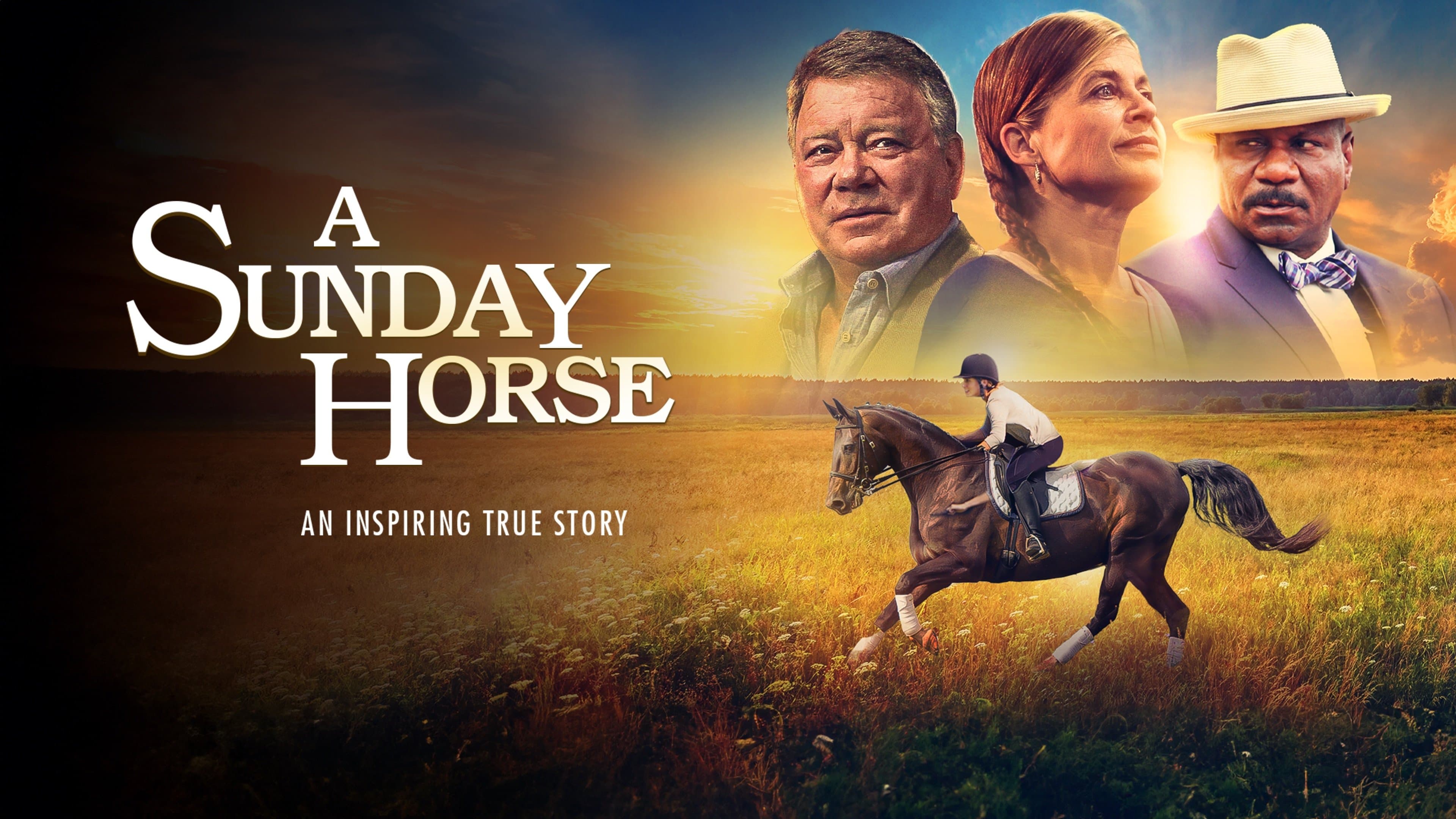 A Sunday Horse - immagine