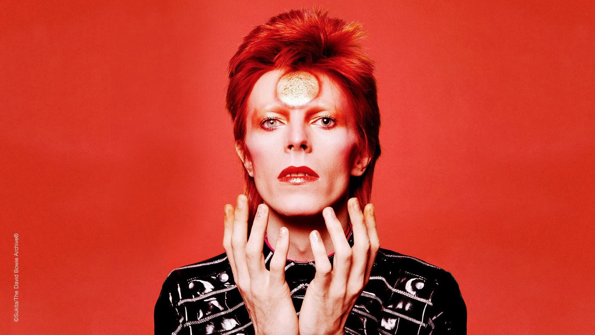 Ziggy Stardust and the Spiders from Mars - immagine