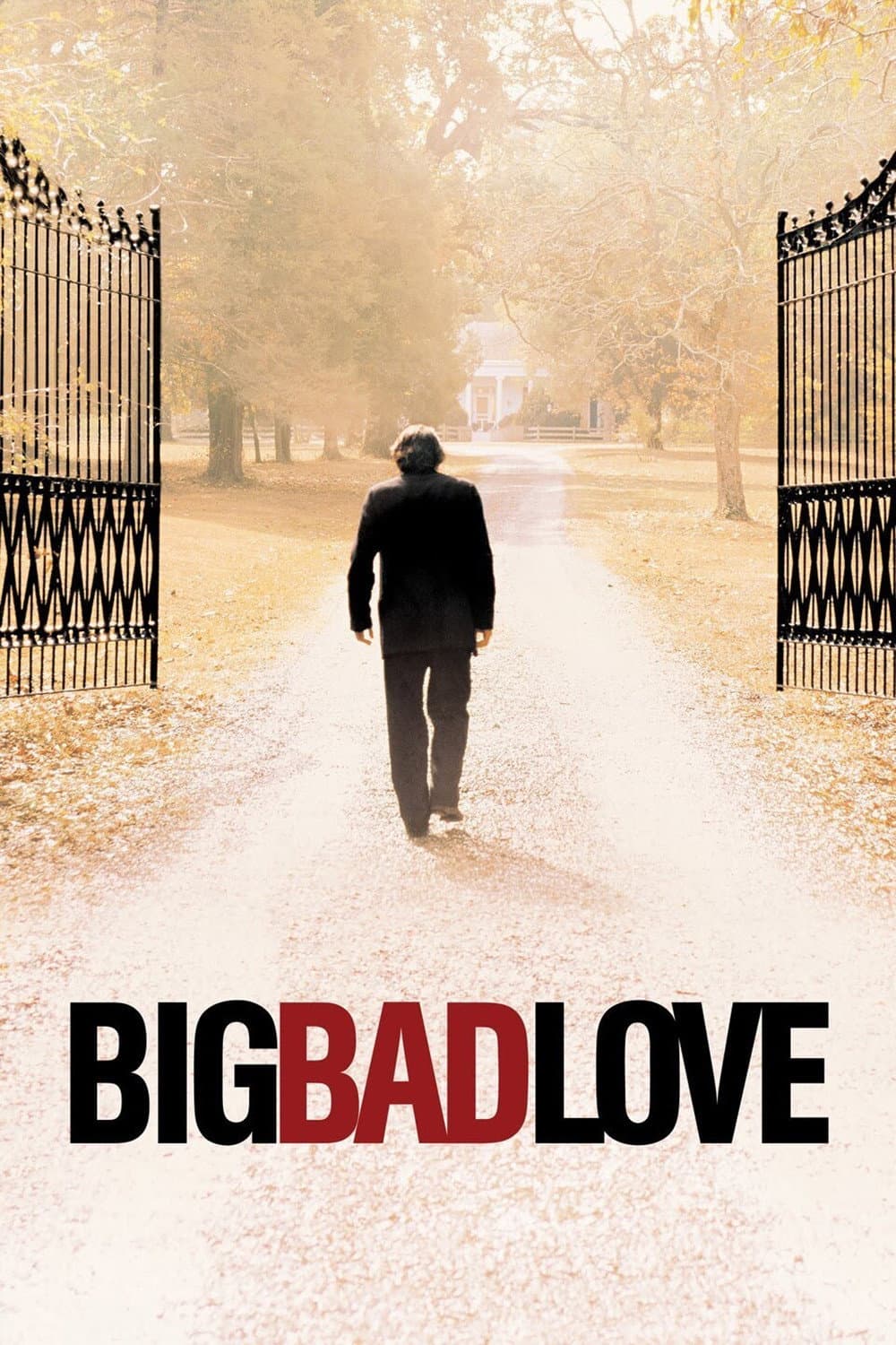Poster di Big Bad Love