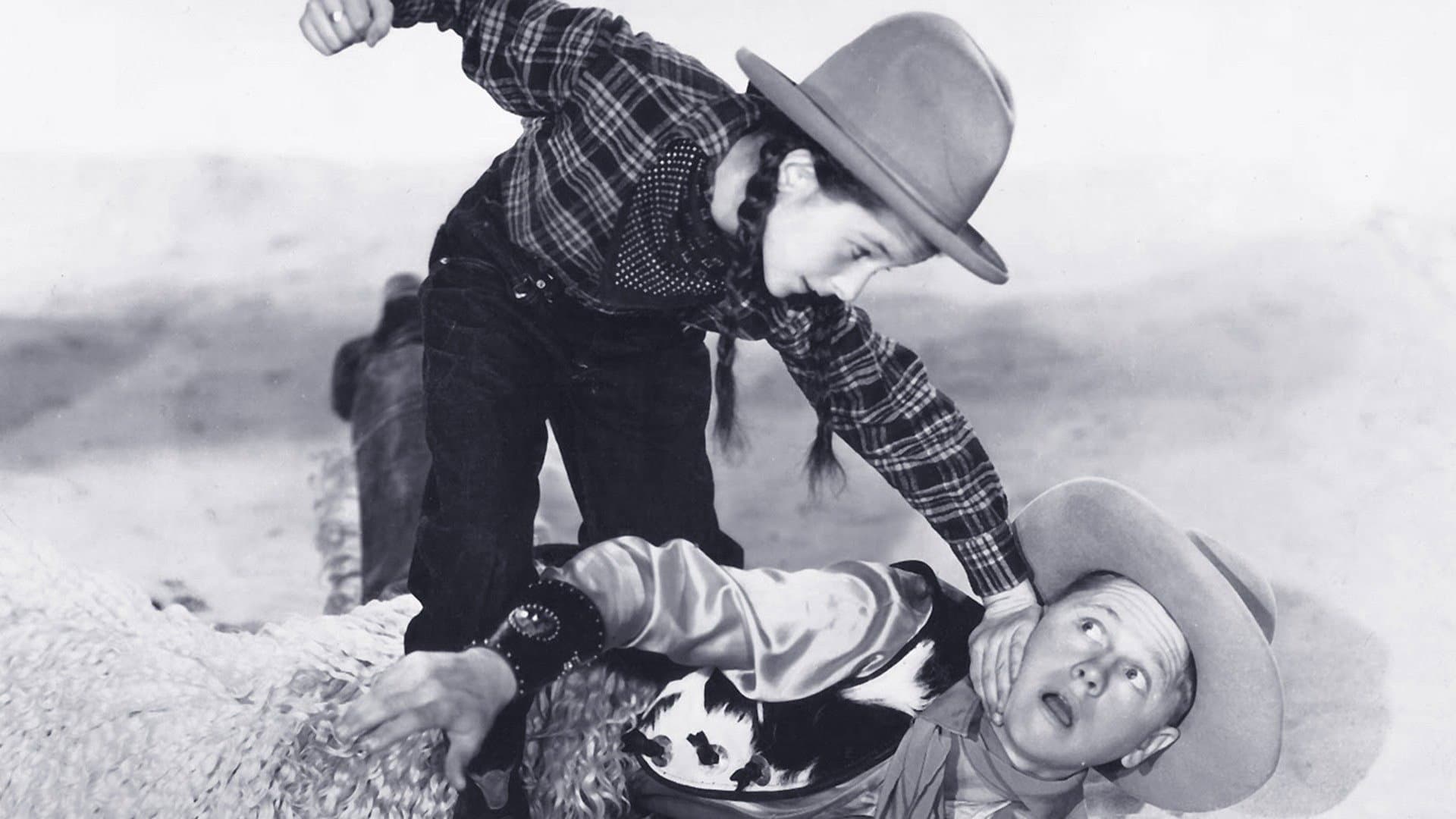 Cowboy dilettante - immagine